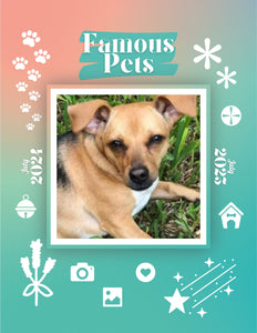 Famous Pets: July 2024-July 2025 Wall Calendar (Pre-Order)