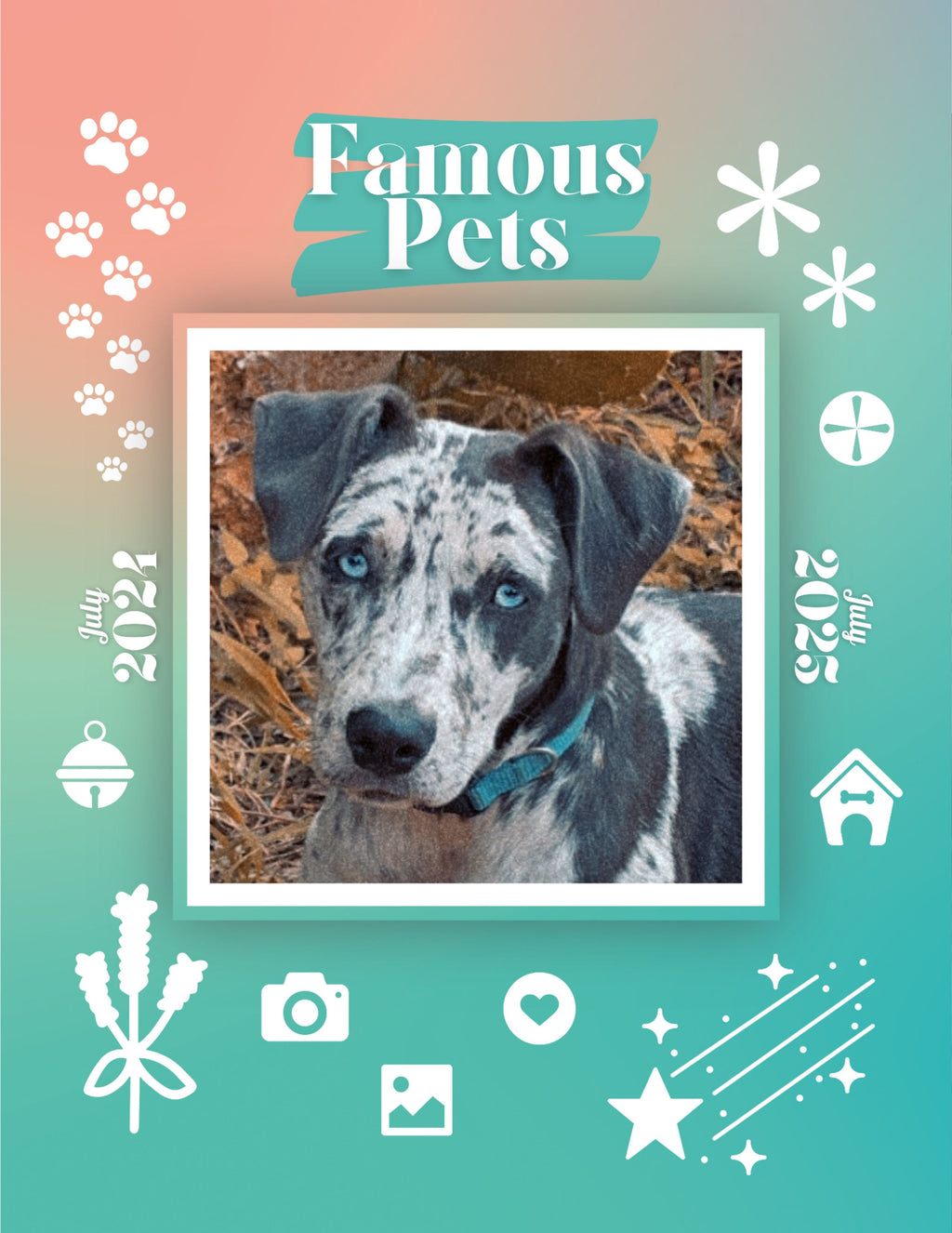 Famous Pets: July 2024-July 2025 Wall Calendar (Pre-Order)
