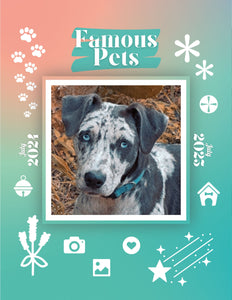 Famous Pets: July 2024-July 2025 Wall Calendar (Pre-Order)