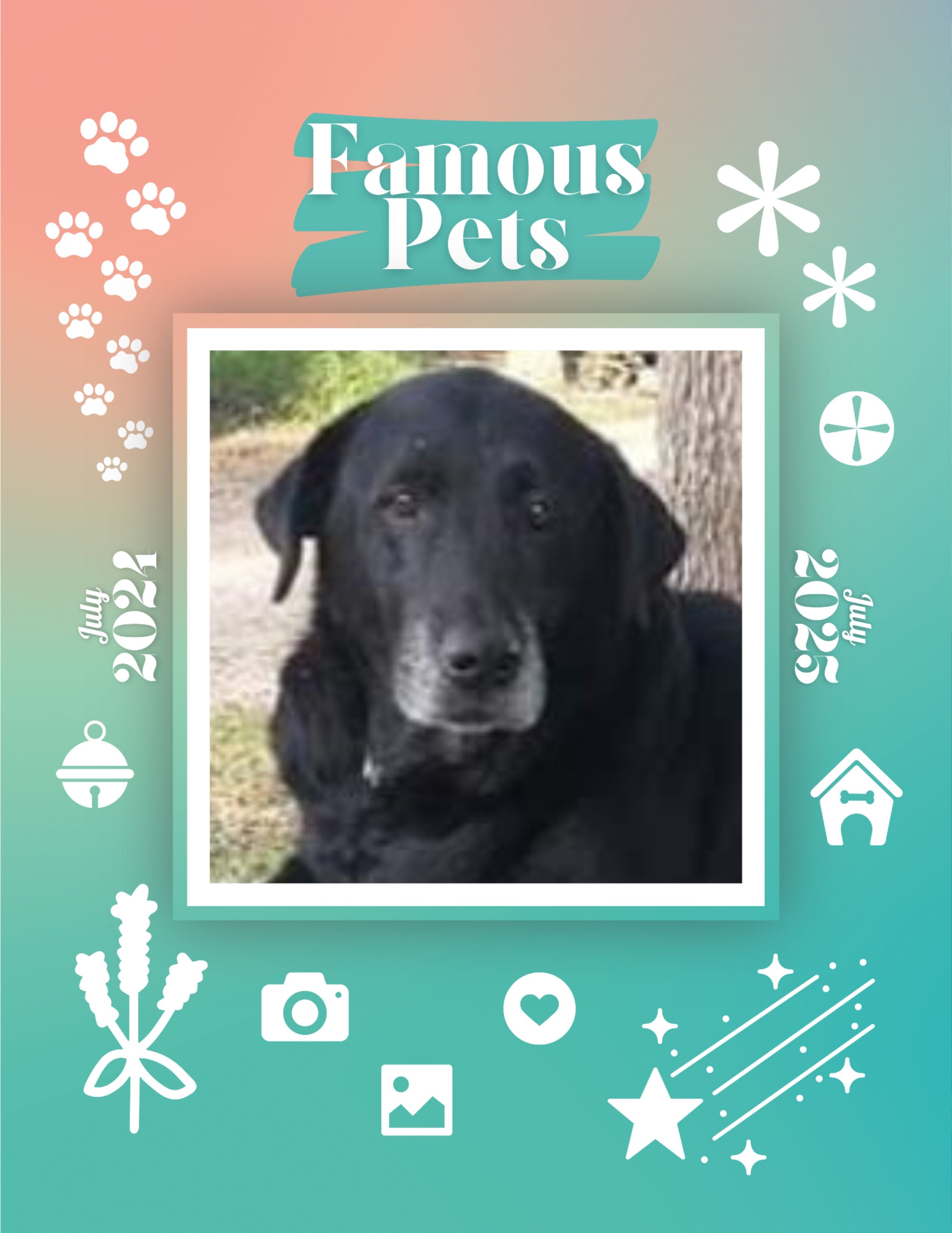 Famous Pets: July 2024-July 2025 Wall Calendar (Pre-Order)