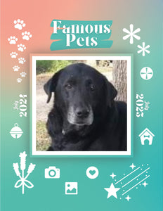 Famous Pets: July 2024-July 2025 Wall Calendar (Pre-Order)
