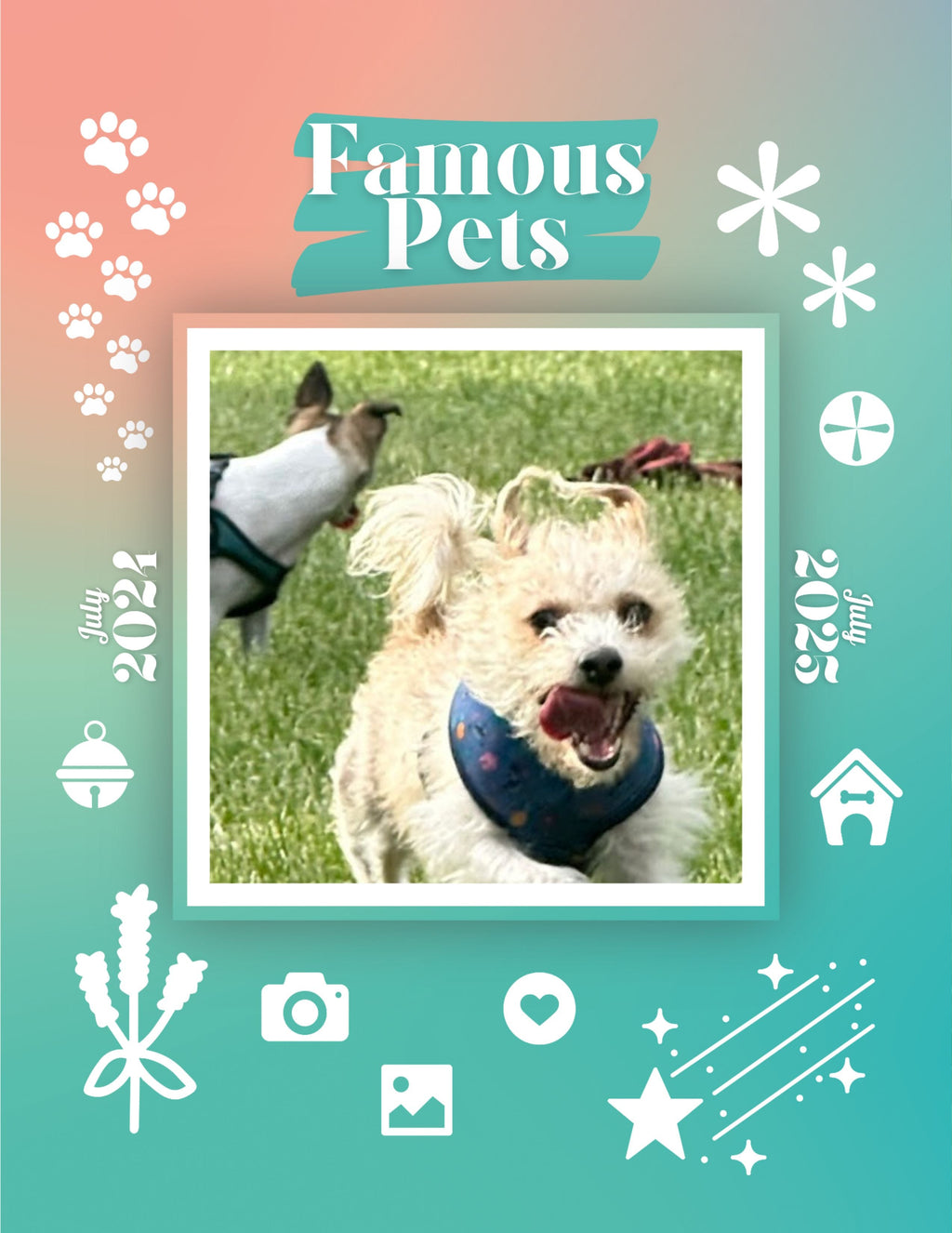 Famous Pets: July 2024-July 2025 Wall Calendar (Pre-Order)