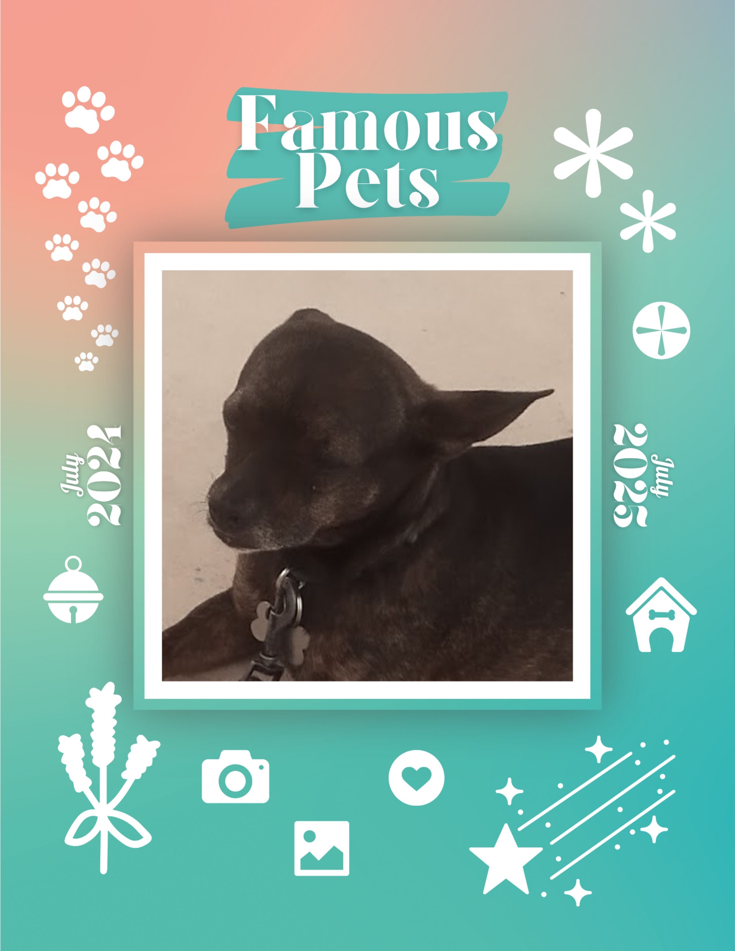 Famous Pets: July 2024-July 2025 Wall Calendar (Pre-Order)