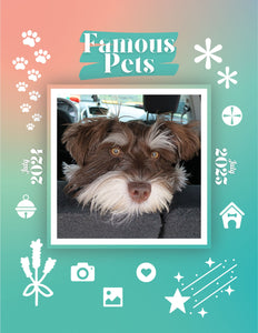 Famous Pets: July 2024-July 2025 Wall Calendar (Pre-Order)
