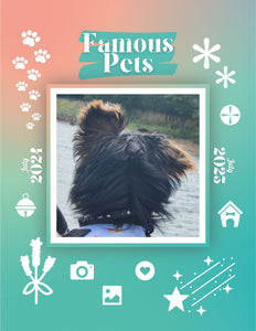 Famous Pets: July 2024-July 2025 Wall Calendar (Pre-Order)