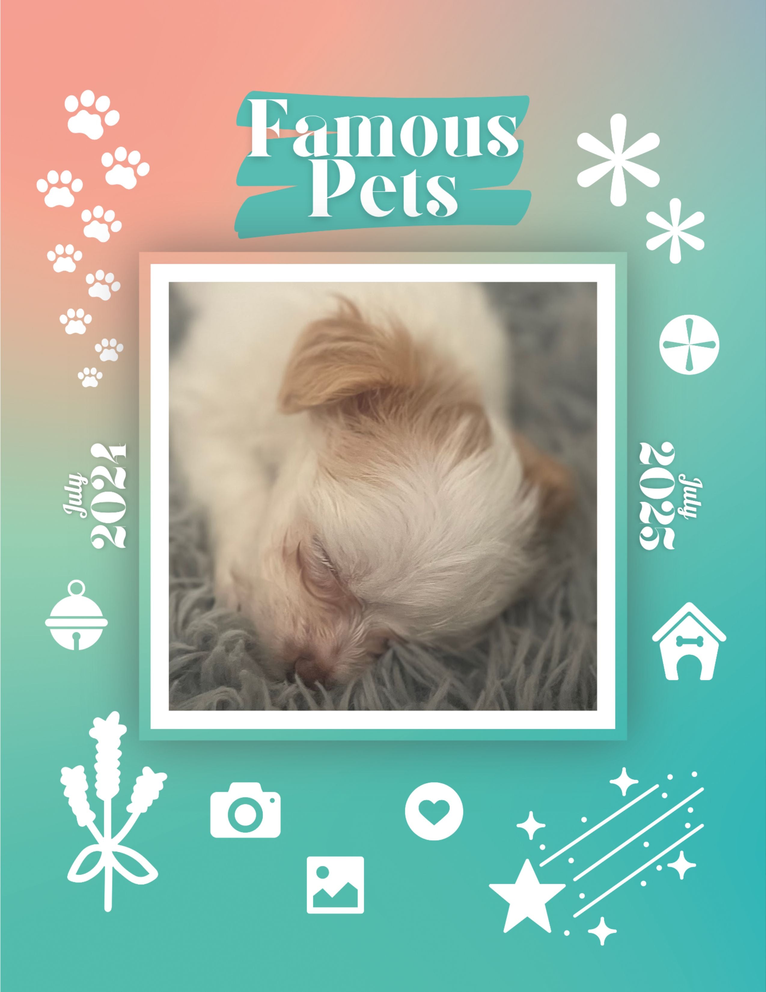Famous Pets: July 2024-July 2025 Wall Calendar (Pre-Order)