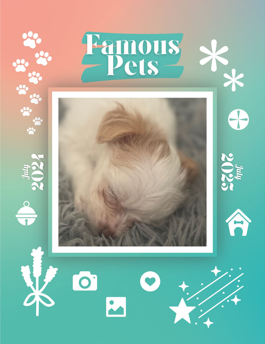 Famous Pets: July 2024-July 2025 Wall Calendar (Pre-Order)