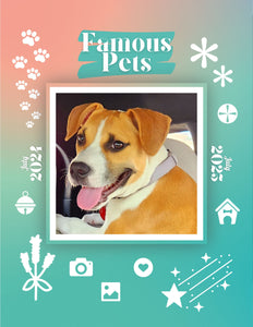 Famous Pets: July 2024-July 2025 Wall Calendar (Pre-Order)