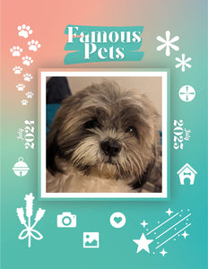 Famous Pets: July 2024-July 2025 Wall Calendar (Pre-Order)