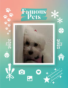 Famous Pets: July 2024-July 2025 Wall Calendar (Pre-Order)