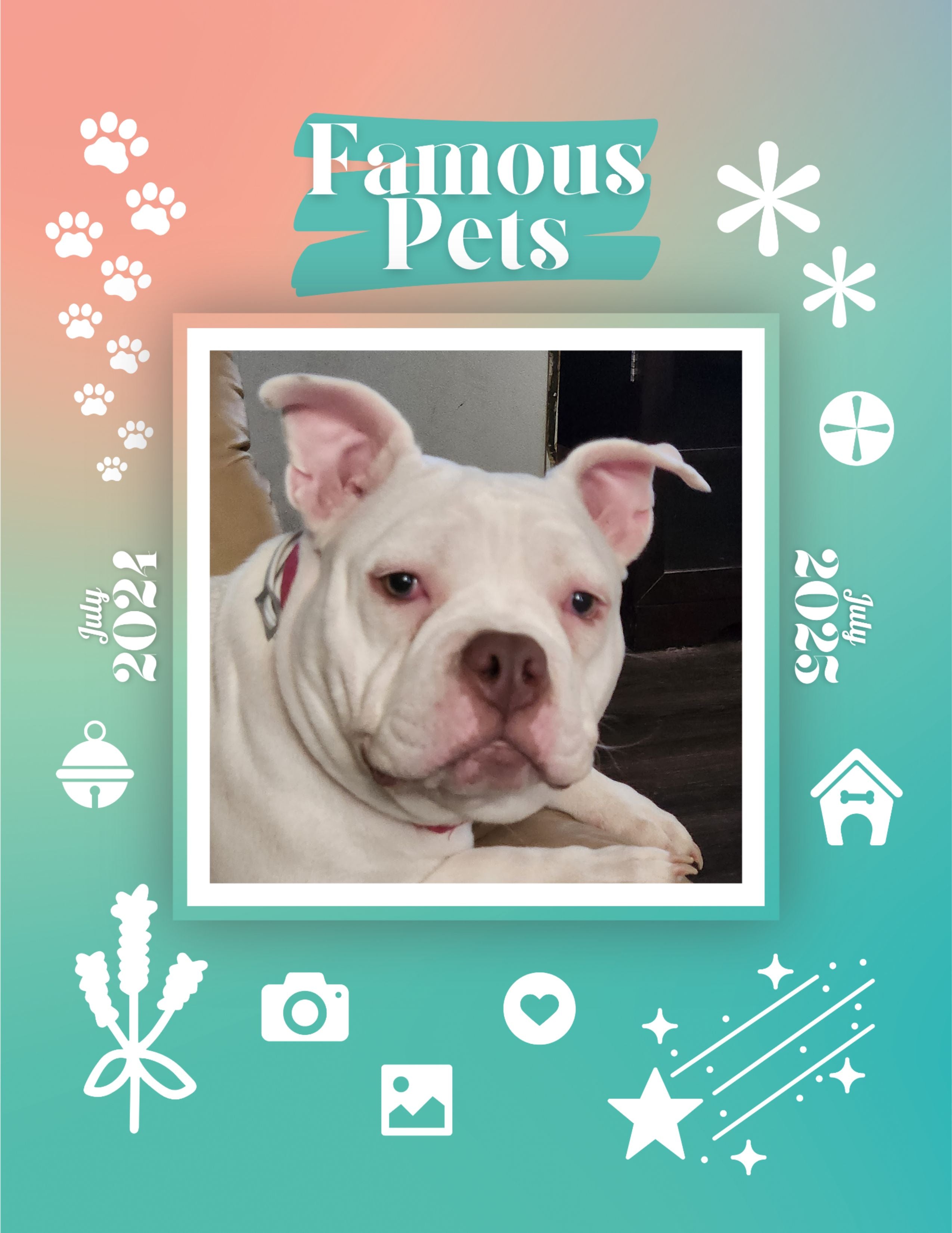 Famous Pets: July 2024-July 2025 Wall Calendar (Pre-Order)