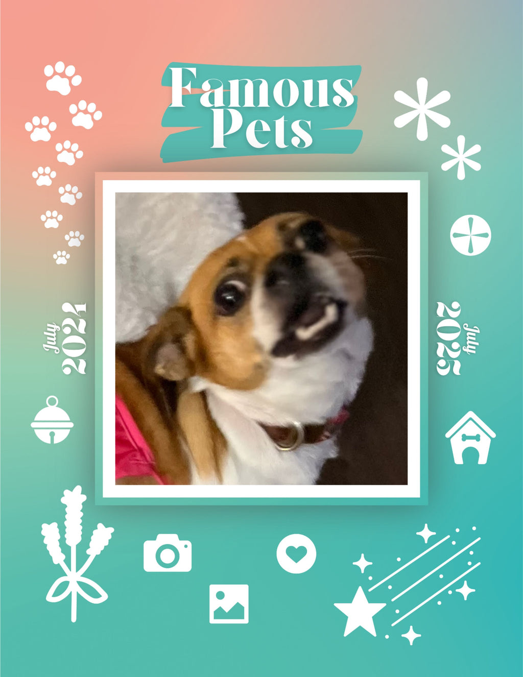 Famous Pets: July 2024-July 2025 Wall Calendar (Pre-Order)