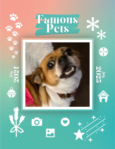 Famous Pets: July 2024-July 2025 Wall Calendar (Pre-Order)