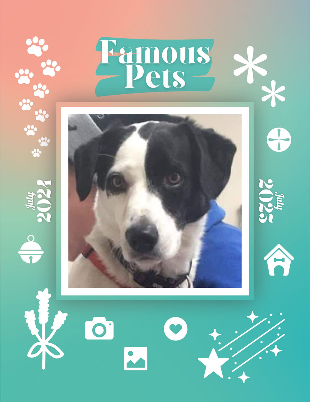 Famous Pets: July 2024-July 2025 Wall Calendar (Pre-Order)