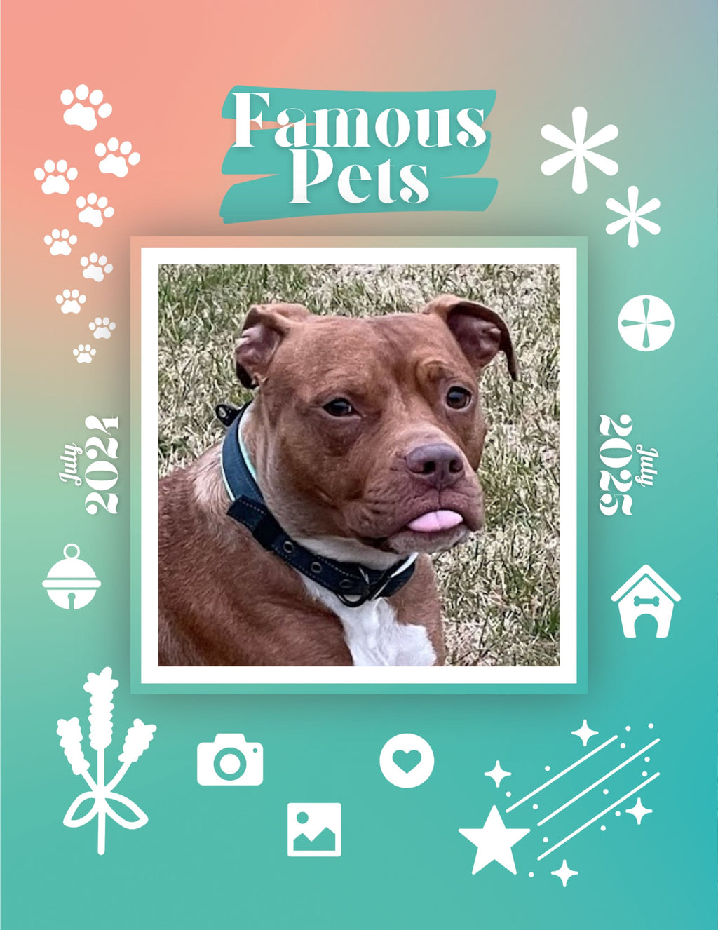 Famous Pets: July 2024-July 2025 Wall Calendar (Pre-Order)