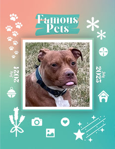 Famous Pets: July 2024-July 2025 Wall Calendar (Pre-Order)
