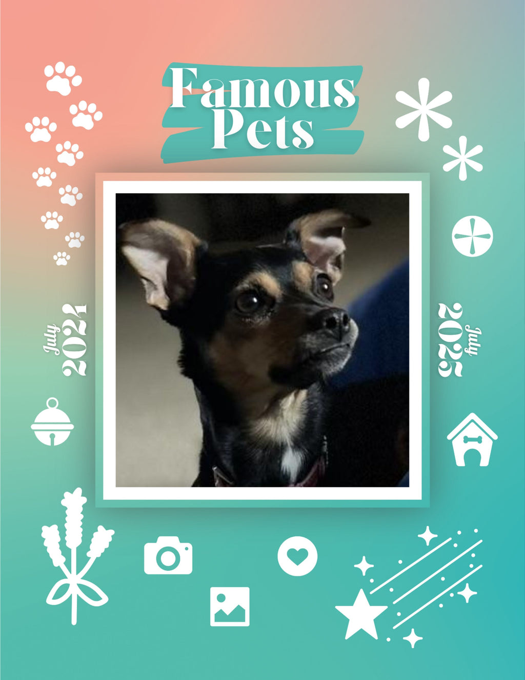 Famous Pets: July 2024-July 2025 Wall Calendar (Pre-Order)