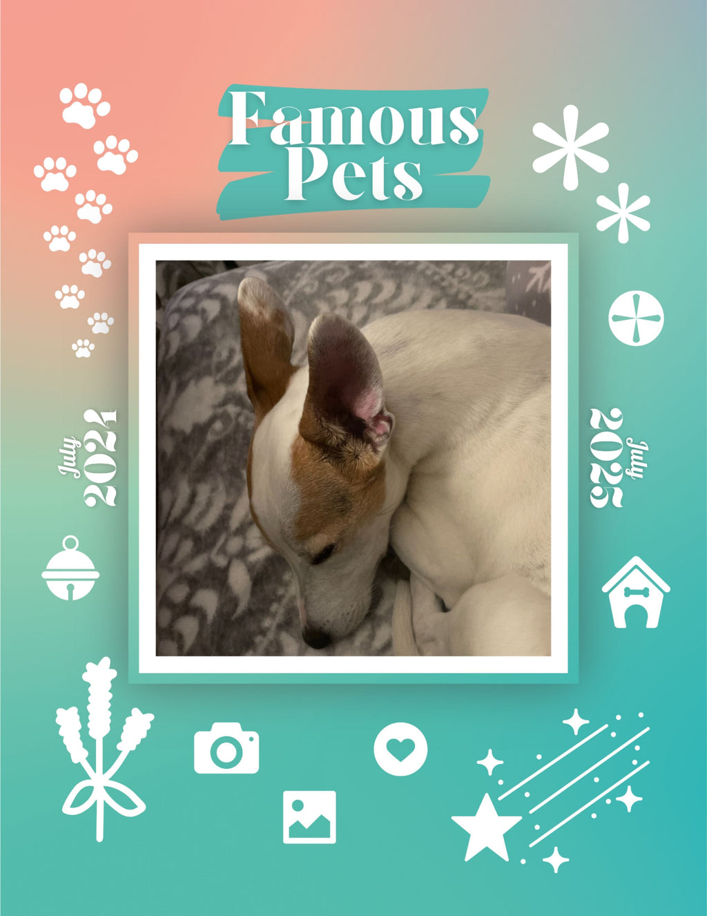 Famous Pets: July 2024-July 2025 Wall Calendar (Pre-Order)