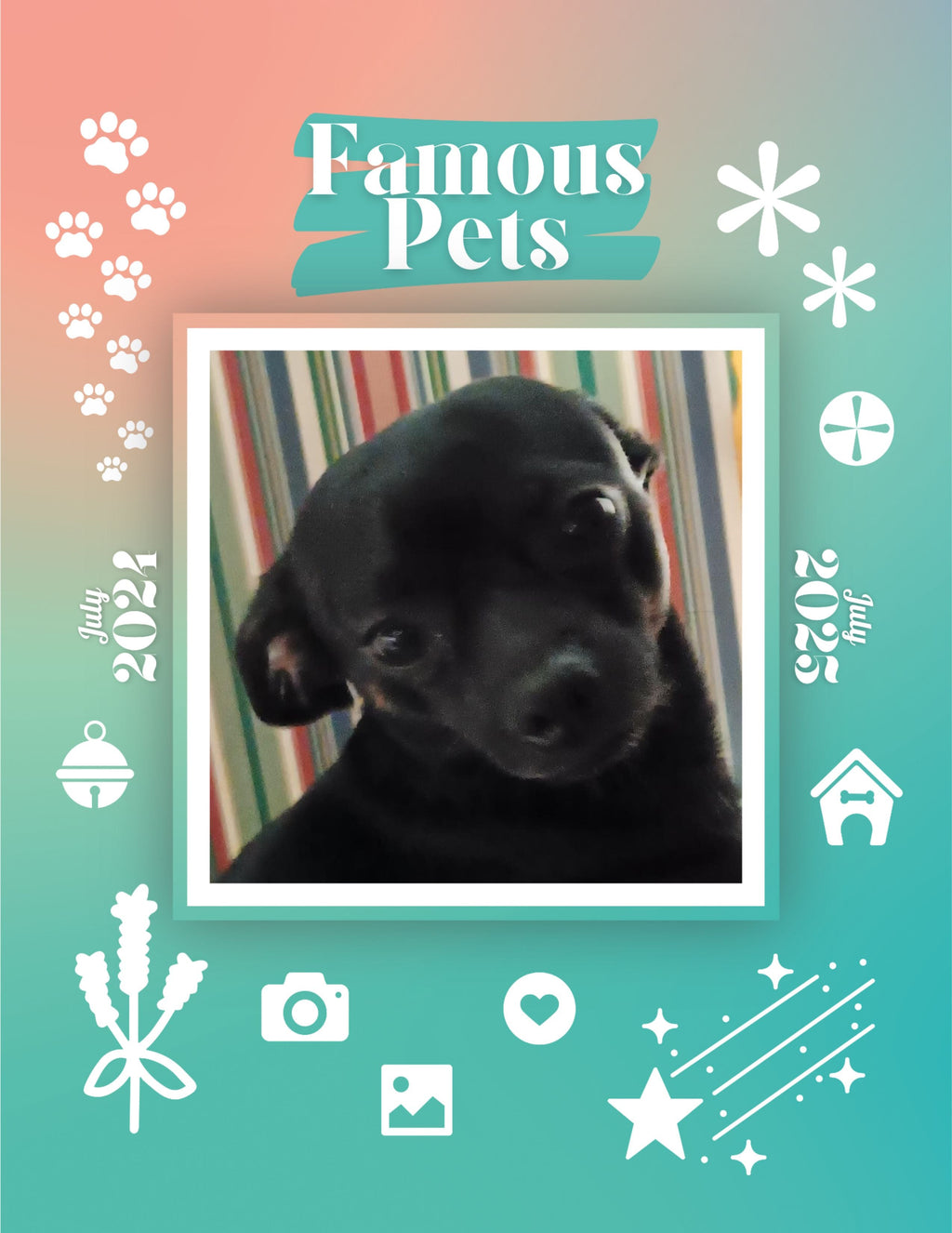 Famous Pets: July 2024-July 2025 Wall Calendar (Pre-Order)