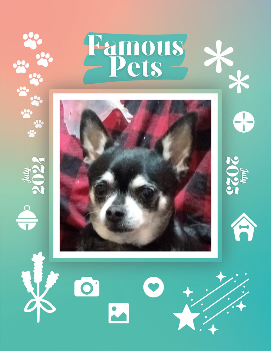 Famous Pets: July 2024-July 2025 Wall Calendar (Pre-Order)