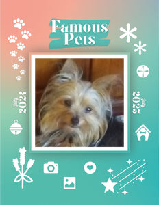 Famous Pets: July 2024-July 2025 Wall Calendar (Pre-Order)