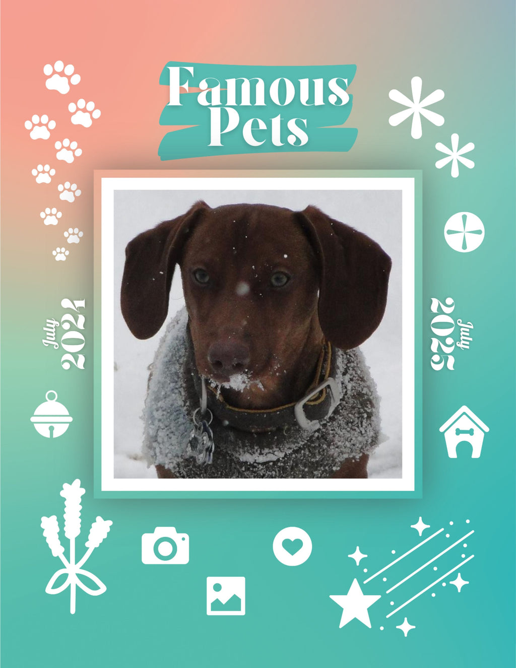 Famous Pets: July 2024-July 2025 Wall Calendar (Pre-Order)