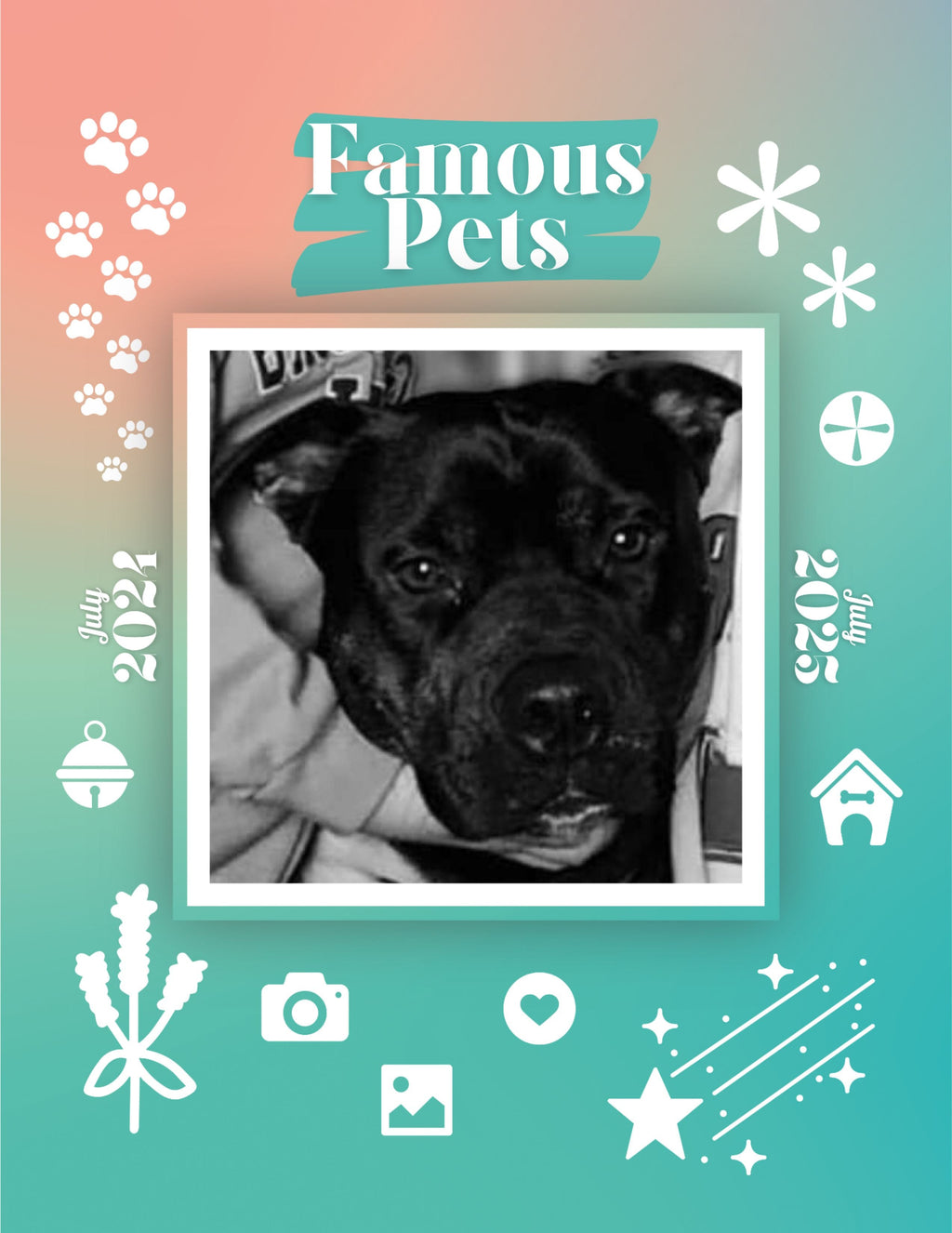 Famous Pets: July 2024-July 2025 Wall Calendar (Pre-Order)
