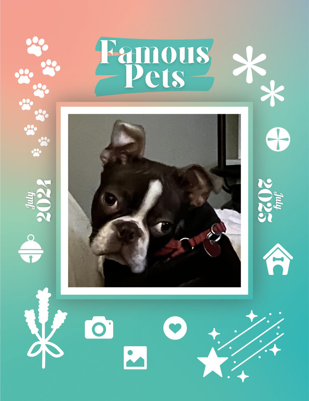 Famous Pets: July 2024-July 2025 Wall Calendar (Pre-Order)