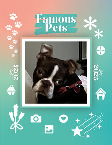 Famous Pets: July 2024-July 2025 Wall Calendar (Pre-Order)