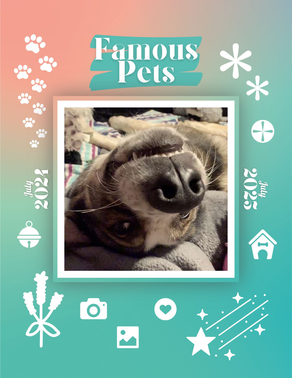 Famous Pets: July 2024-July 2025 Wall Calendar (Pre-Order)