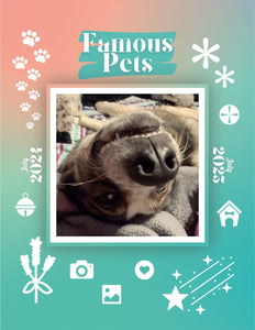 Famous Pets: July 2024-July 2025 Wall Calendar (Pre-Order)