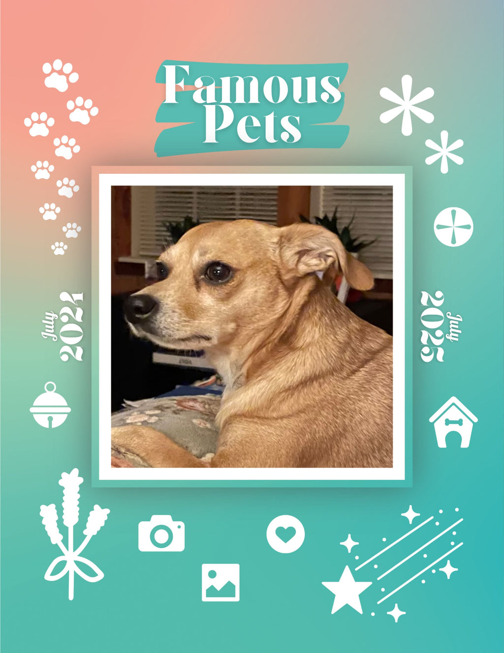 Famous Pets: July 2024-July 2025 Wall Calendar (Pre-Order)