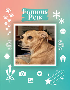 Famous Pets: July 2024-July 2025 Wall Calendar (Pre-Order)