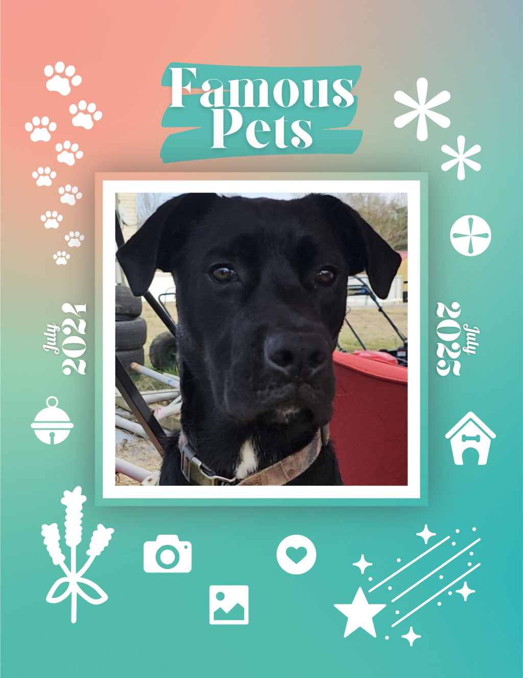 Famous Pets: July 2024-July 2025 Wall Calendar (Pre-Order)