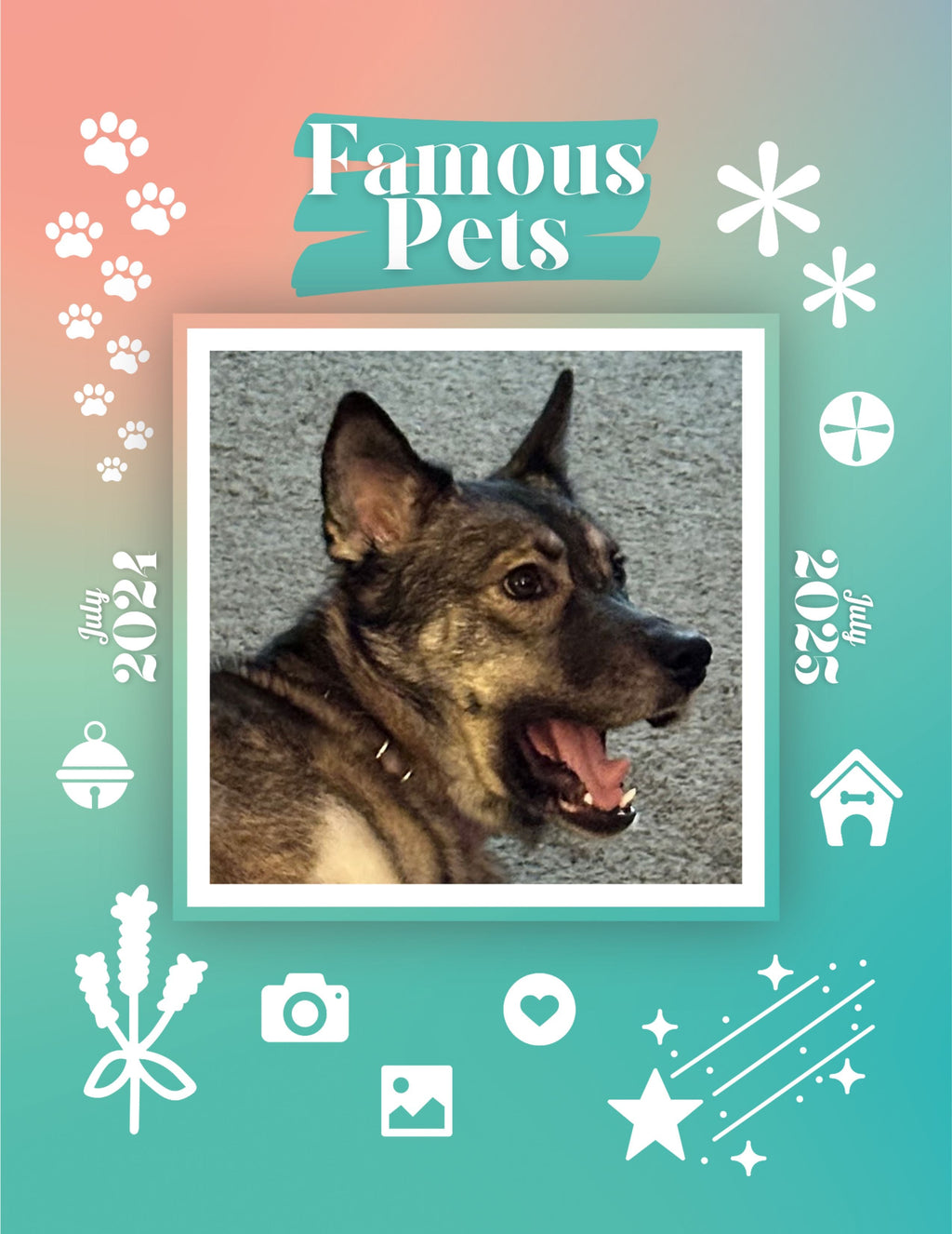 Famous Pets: July 2024-July 2025 Wall Calendar (Pre-Order)