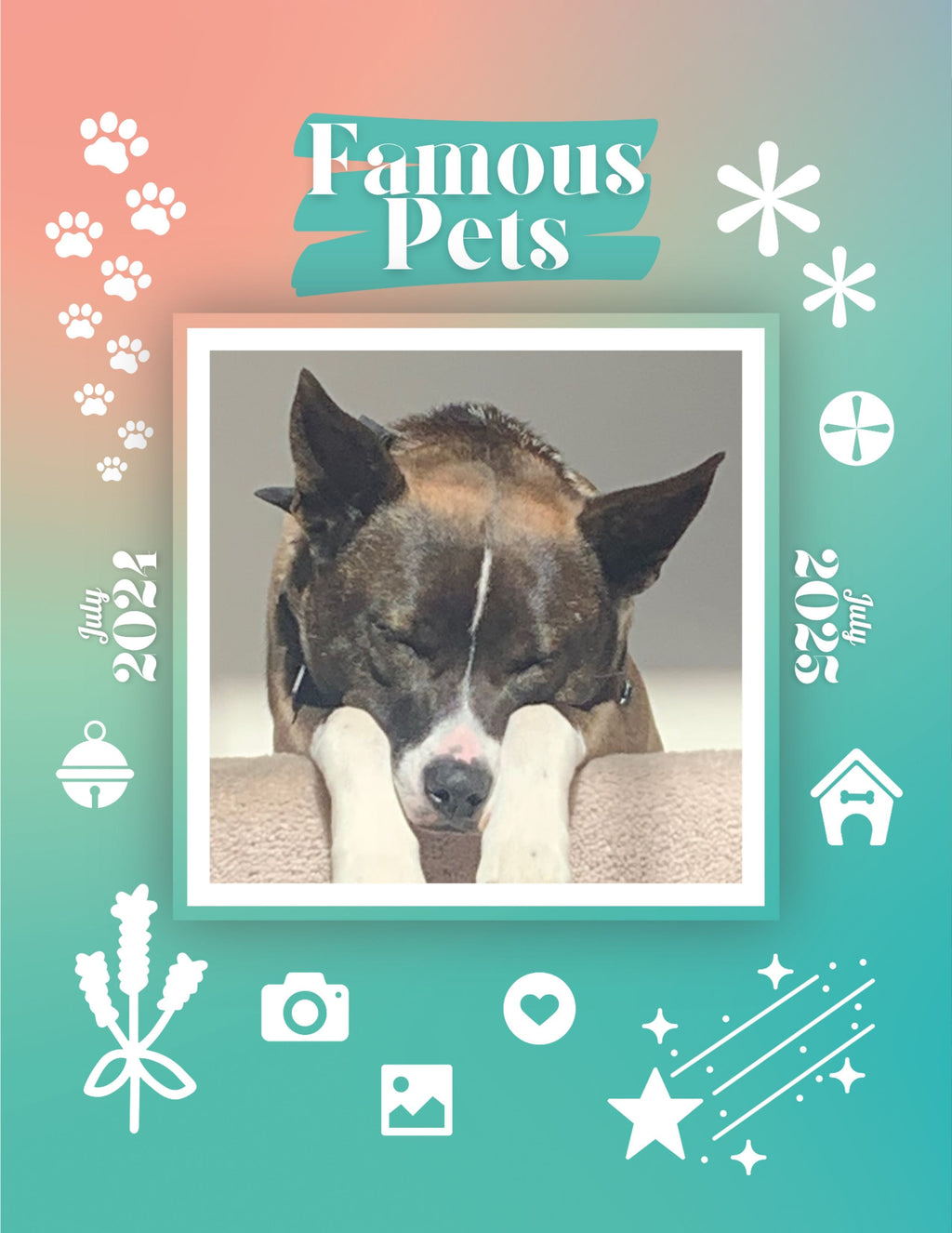 Famous Pets: July 2024-July 2025 Wall Calendar (Pre-Order)
