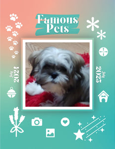 Famous Pets: July 2024-July 2025 Wall Calendar (Pre-Order)