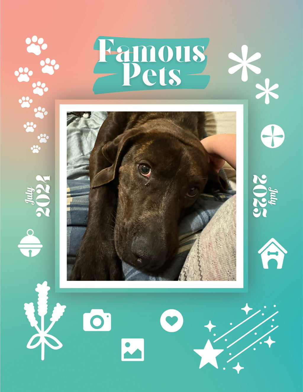Famous Pets: July 2024-July 2025 Wall Calendar (Pre-Order)
