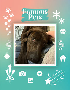 Famous Pets: July 2024-July 2025 Wall Calendar (Pre-Order)