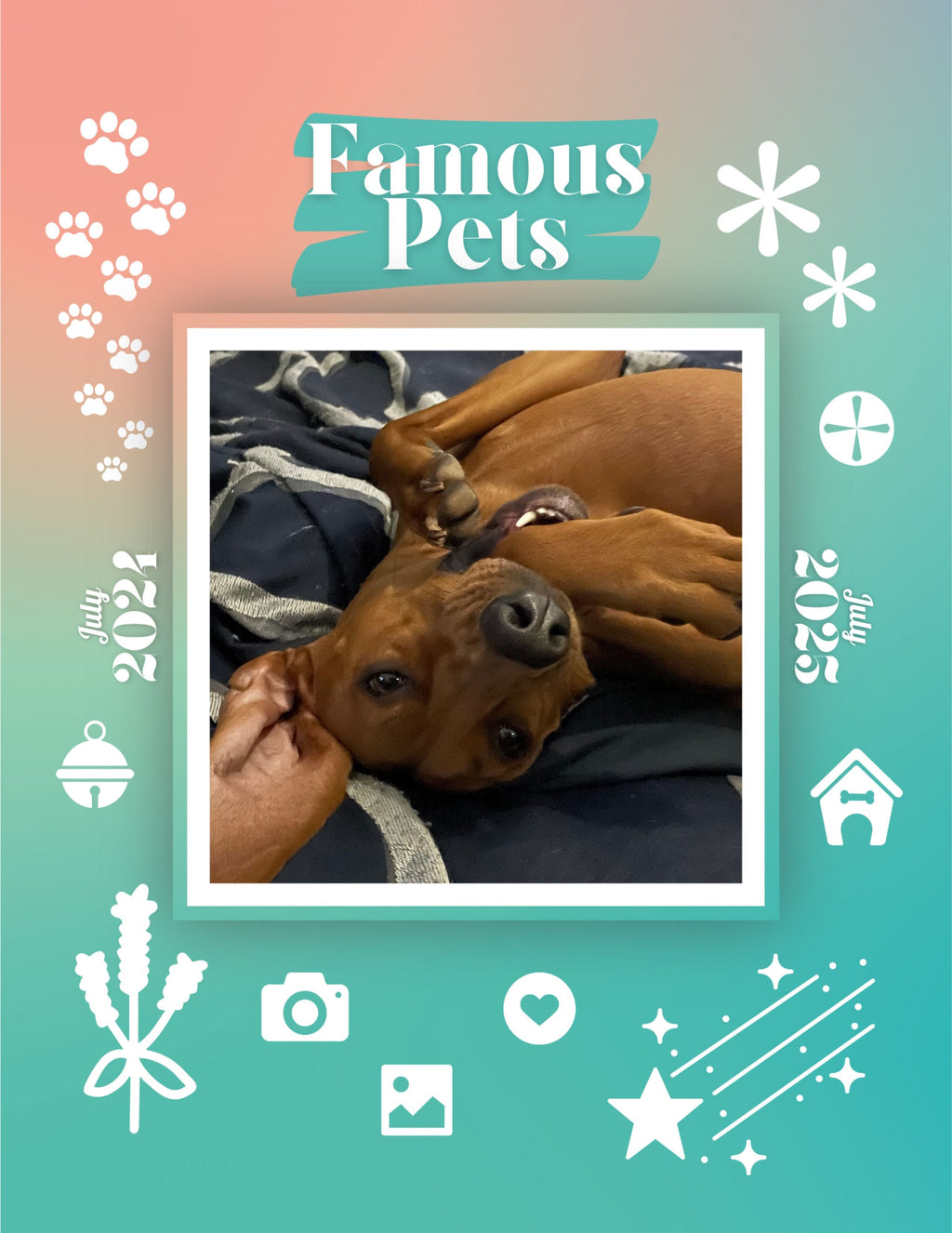Famous Pets: July 2024-July 2025 Wall Calendar (Pre-Order)