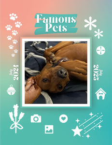 Famous Pets: July 2024-July 2025 Wall Calendar (Pre-Order)