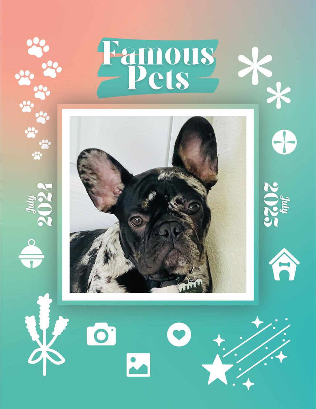 Famous Pets: July 2024-July 2025 Wall Calendar (Pre-Order)