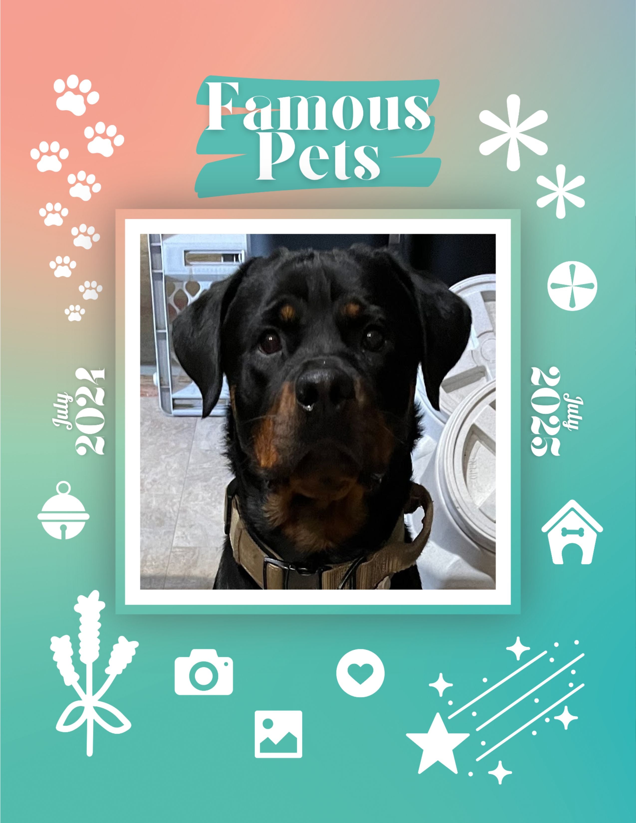 Famous Pets: July 2024-July 2025 Wall Calendar (Pre-Order)