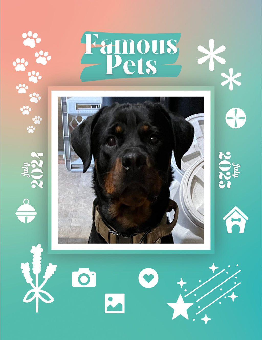 Famous Pets: July 2024-July 2025 Wall Calendar (Pre-Order)