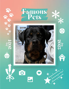 Famous Pets: July 2024-July 2025 Wall Calendar (Pre-Order)