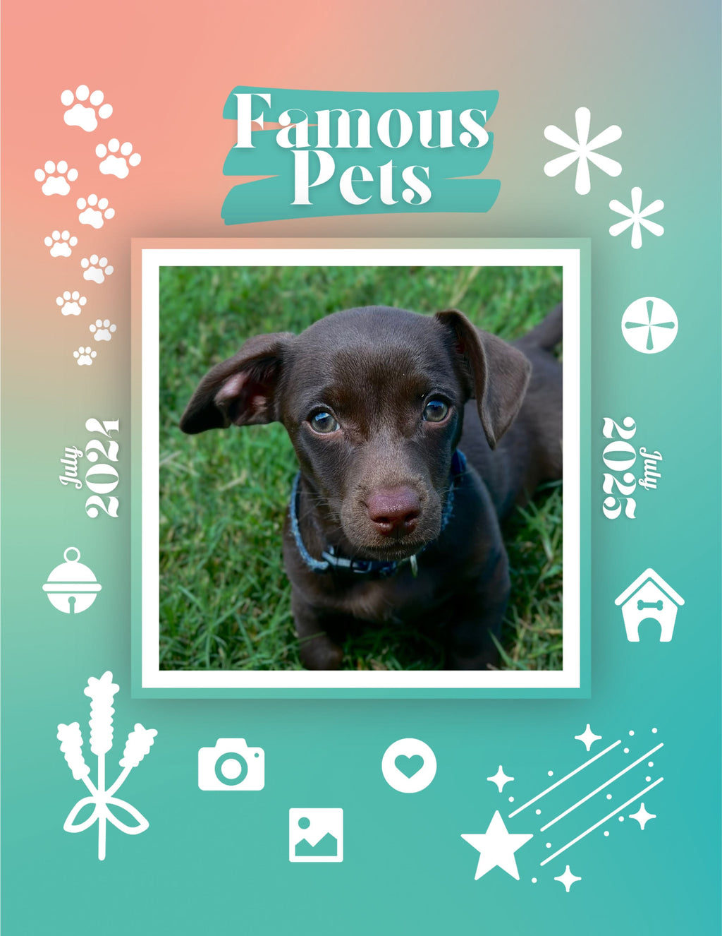 Famous Pets: July 2024-July 2025 Wall Calendar (Pre-Order)