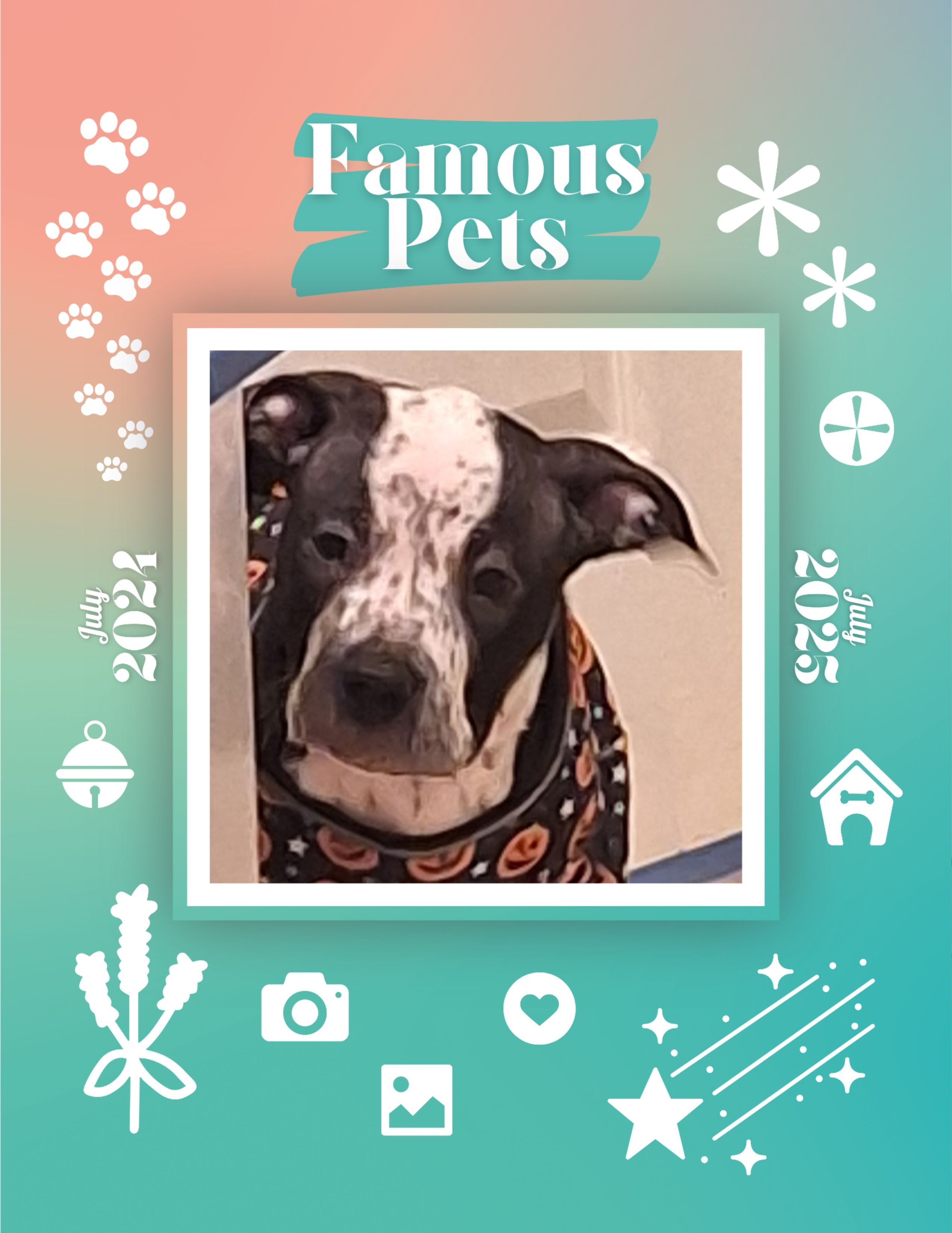 Famous Pets: July 2024-July 2025 Wall Calendar (Pre-Order)
