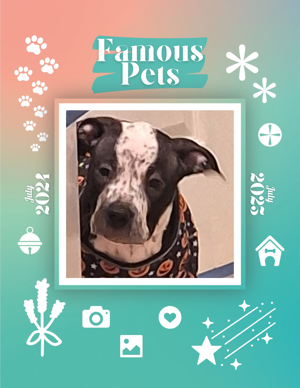 Famous Pets: July 2024-July 2025 Wall Calendar (Pre-Order)