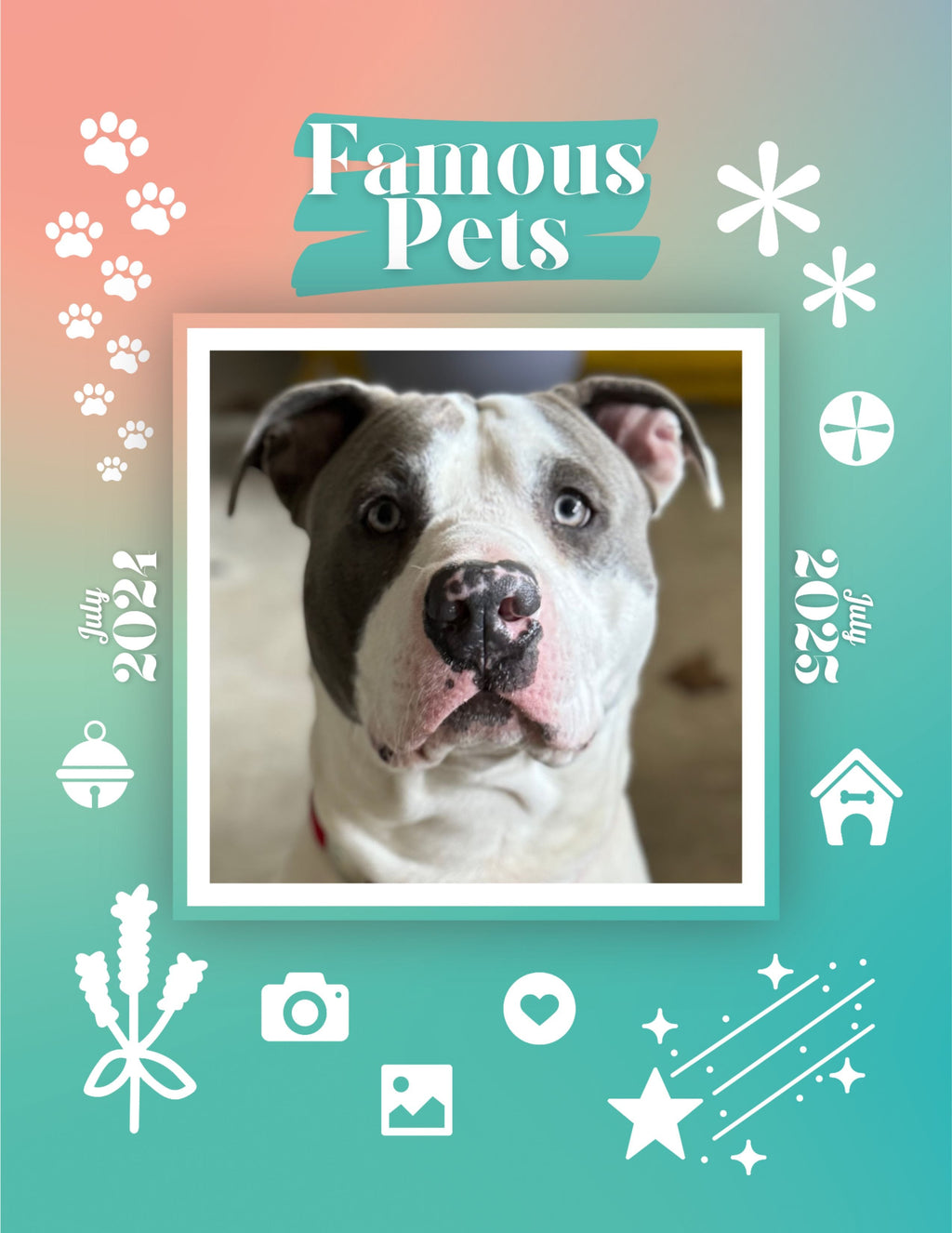 Famous Pets: July 2024-July 2025 Wall Calendar (Pre-Order)