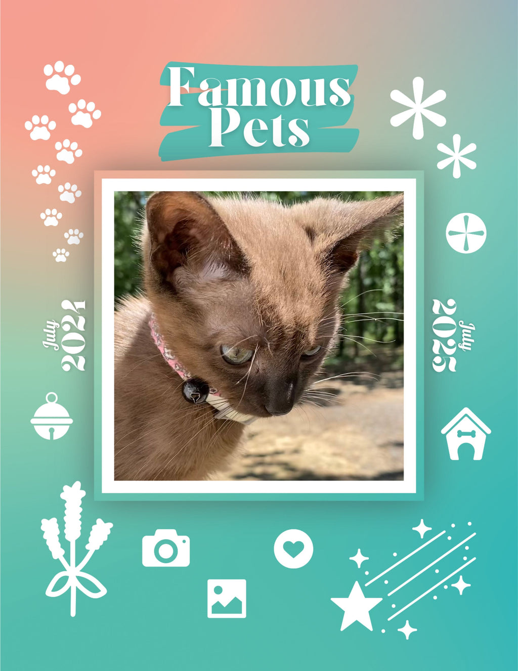 Famous Pets: July 2024-July 2025 Wall Calendar (Pre-Order)